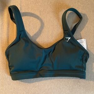Scoop Neck Sports Bra: Winter Teal